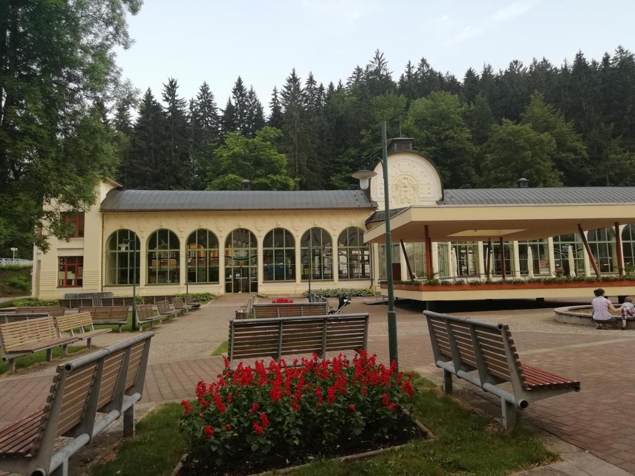 Apartman Jestrab 5 Janské Lázně Extérieur photo